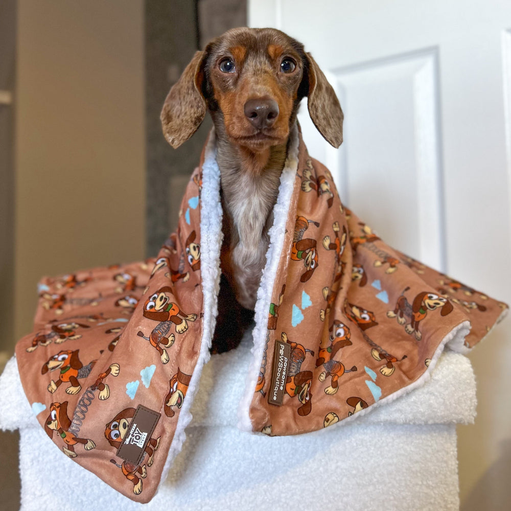 Disney© Dog Blanket - Slinky