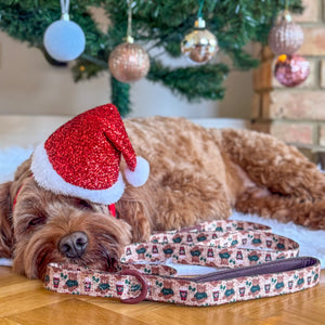 Lead - Snuggle Season