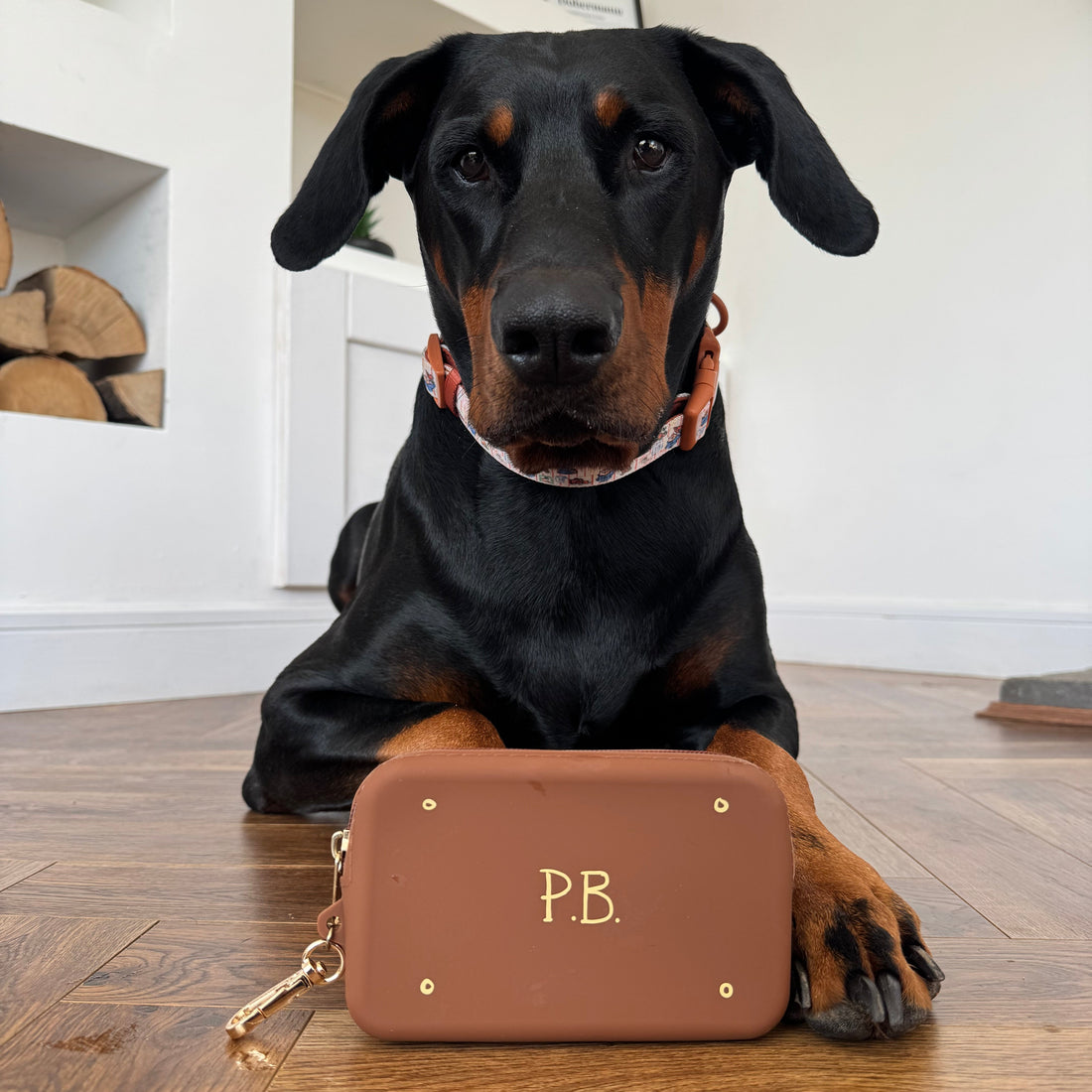 Silicone Treat Pouch - Paddington™ Suitcase