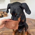 Silicone Treat Pouch - Paddington™ Suitcase