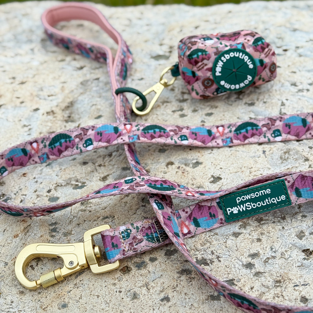 Lead - Adventure Awaits