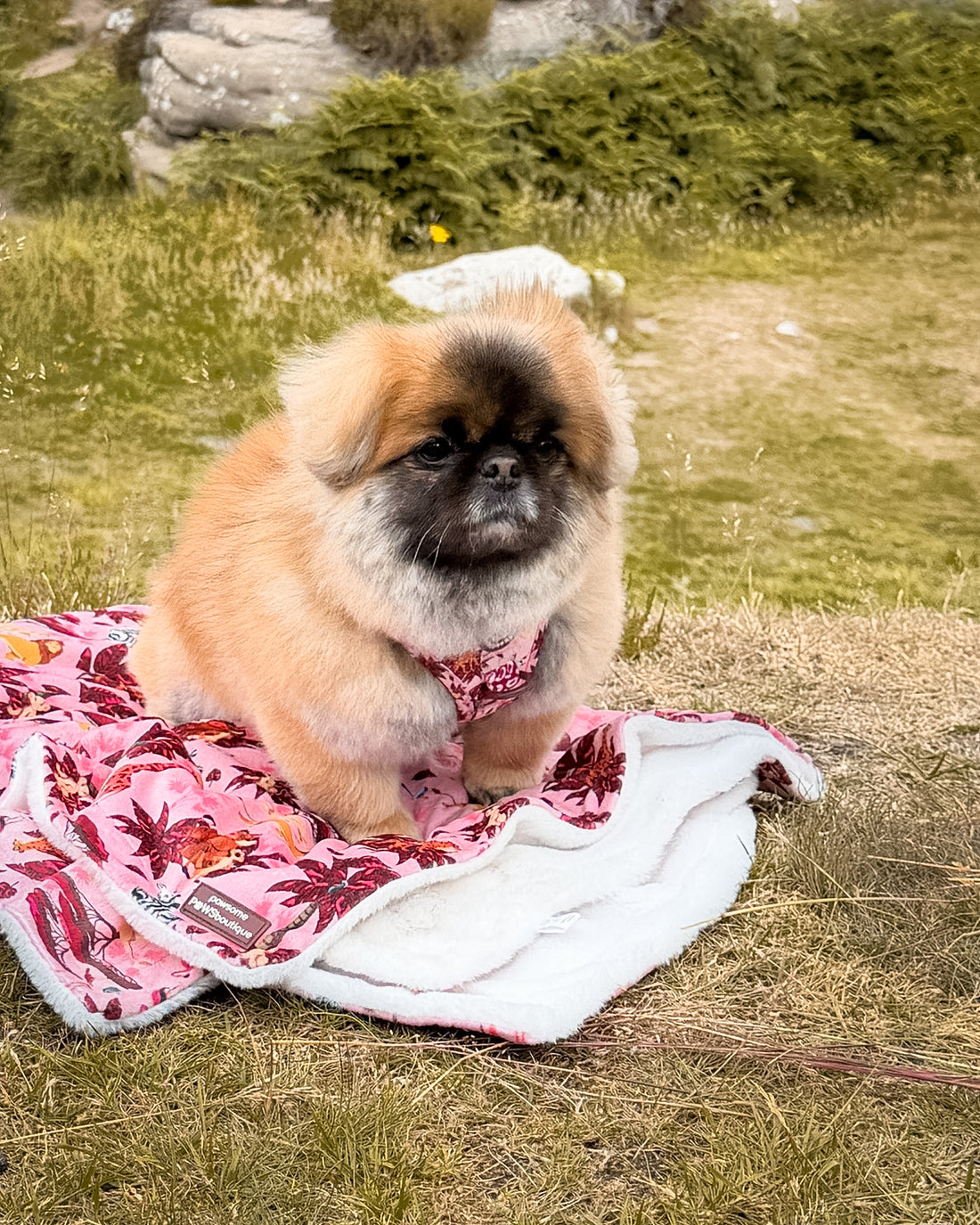Disney© Dog Blanket - Sunset Safari