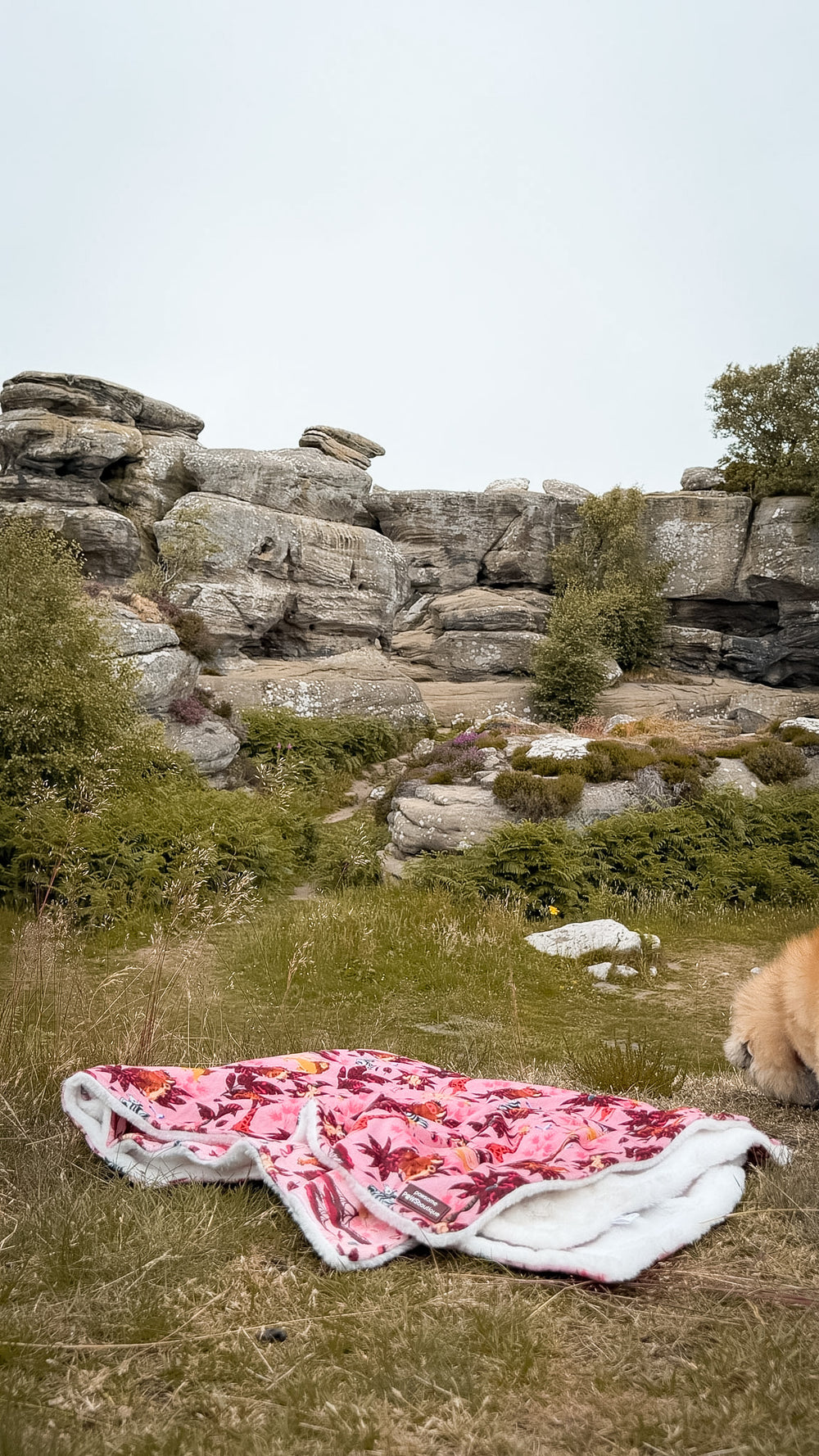 Disney© Dog Blanket - Sunset Safari
