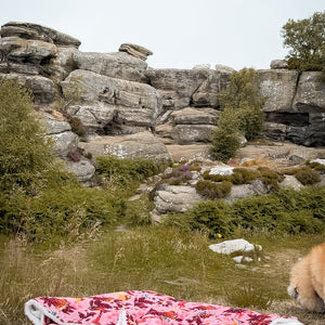 Disney© Dog Blanket - Sunset Safari