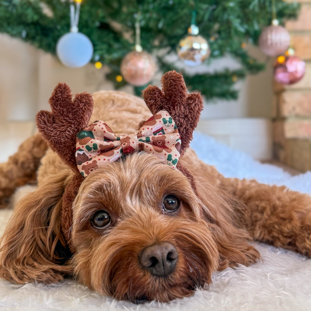 Bow Tie - Snuggle Season