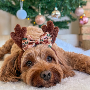 Bow Tie - Snuggle Season