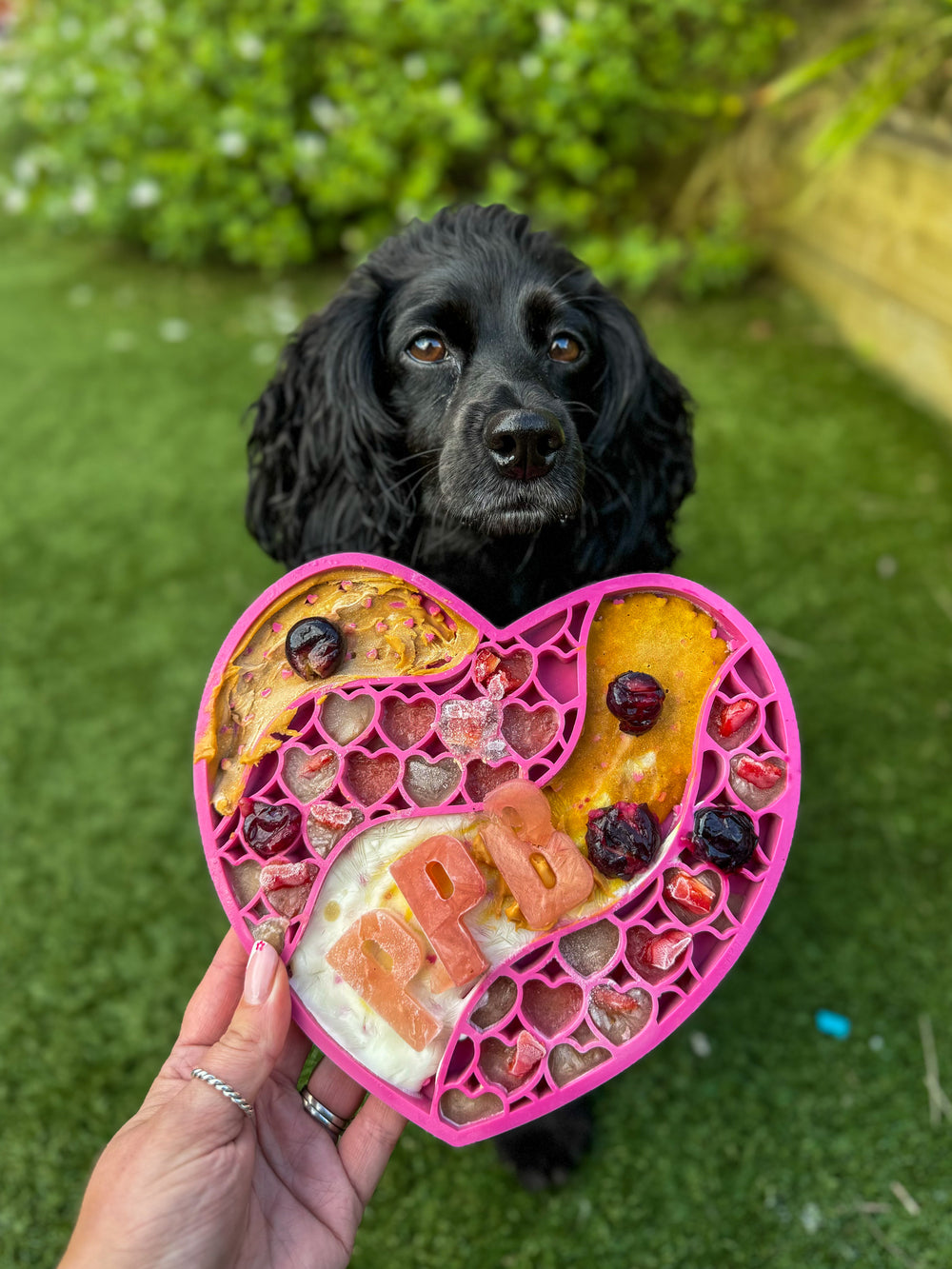 Lick Mat - Raspberry Pink