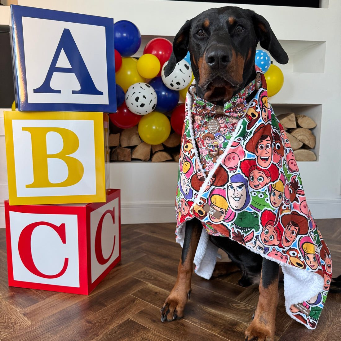 Disney© Dog Blanket - Toy Story Friends