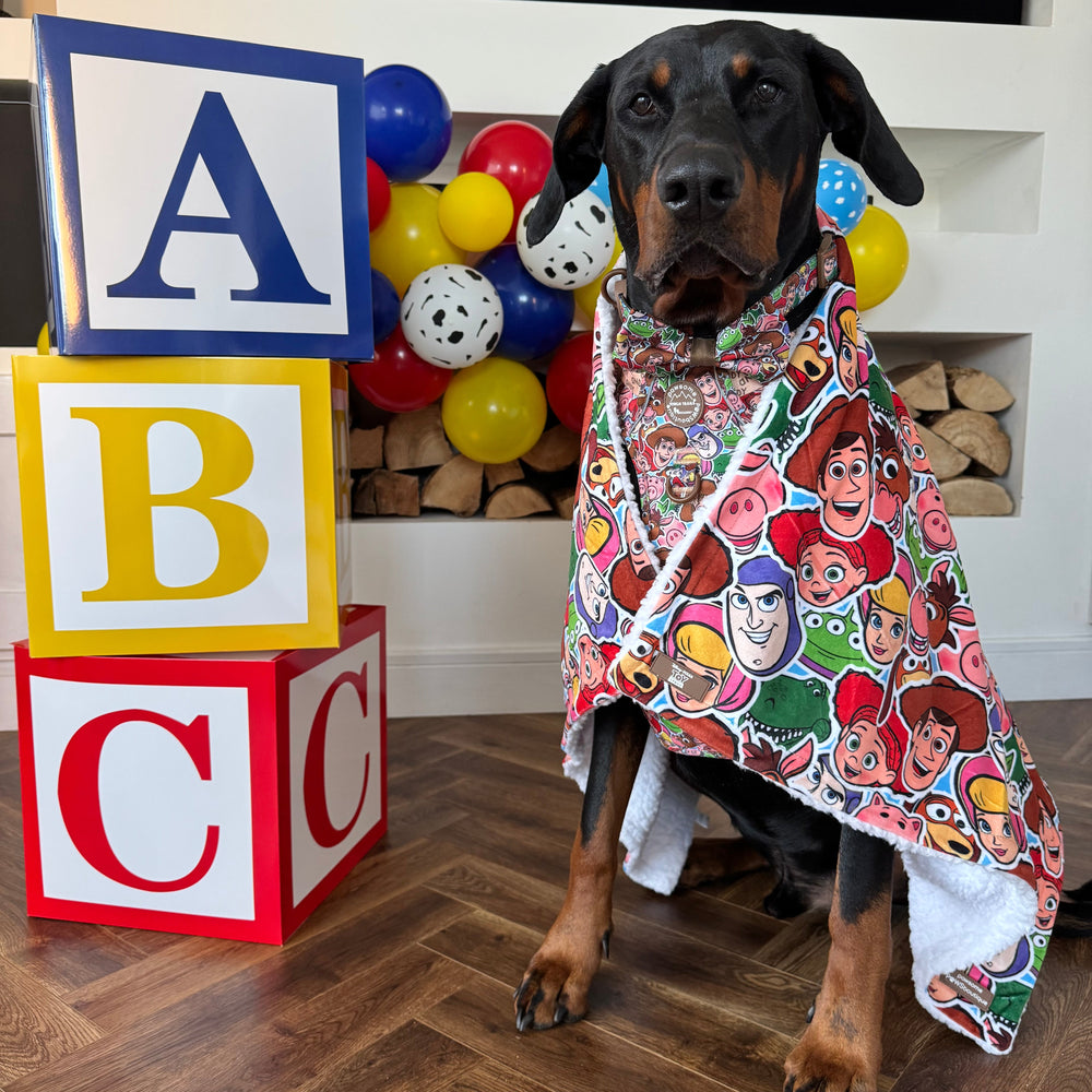Disney© Dog Blanket - Toy Story Friends