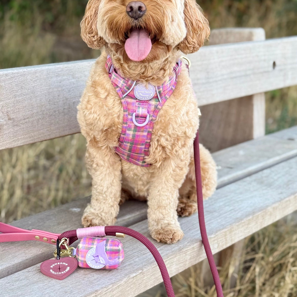 Poo Bag Holder - Tweed Sunset