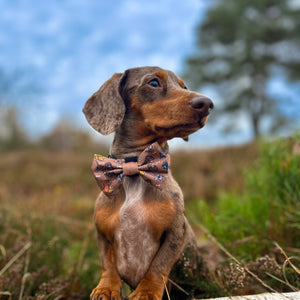 Disney© Bow Tie - Disney Dogs