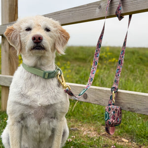 Poo Bag Holder - Adventure Awaits