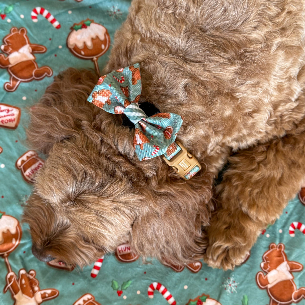 Disney© Bow Tie - Gingerbread Bear Sage