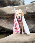 Disney© Dog Blanket - Sunset Safari
