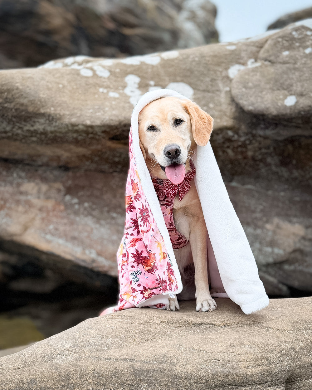 Disney© Dog Blanket - Sunset Safari