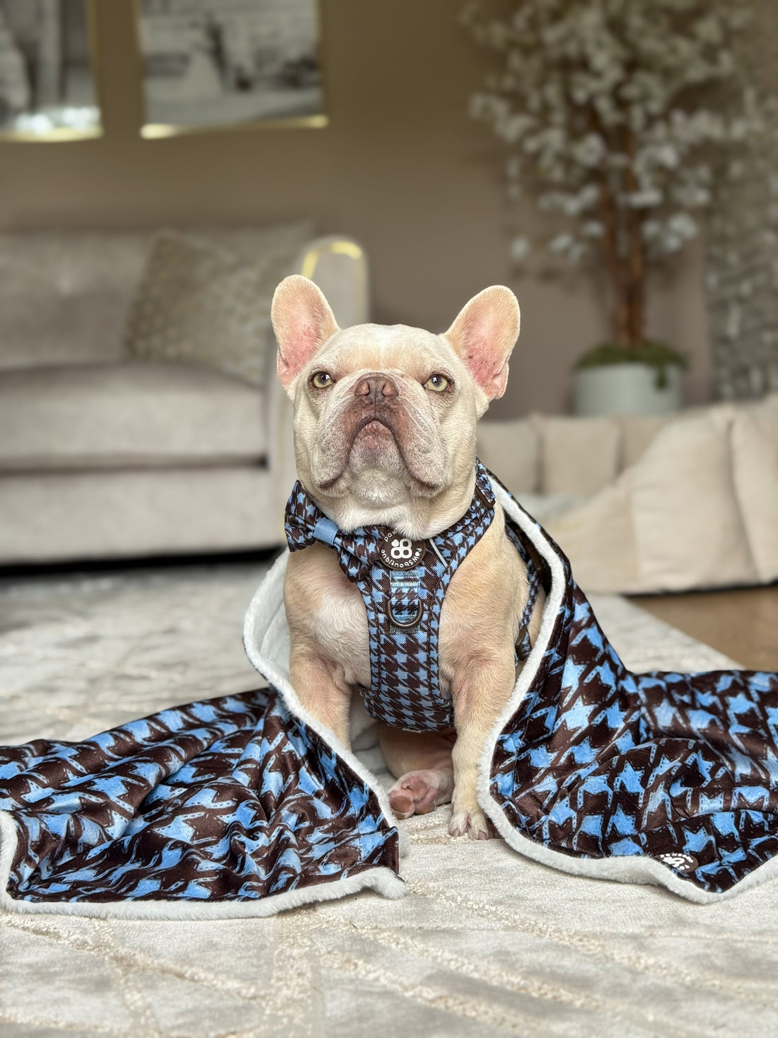 Dog Blanket - Horizon Houndstooth