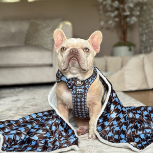 Dog Blanket - Horizon Houndstooth