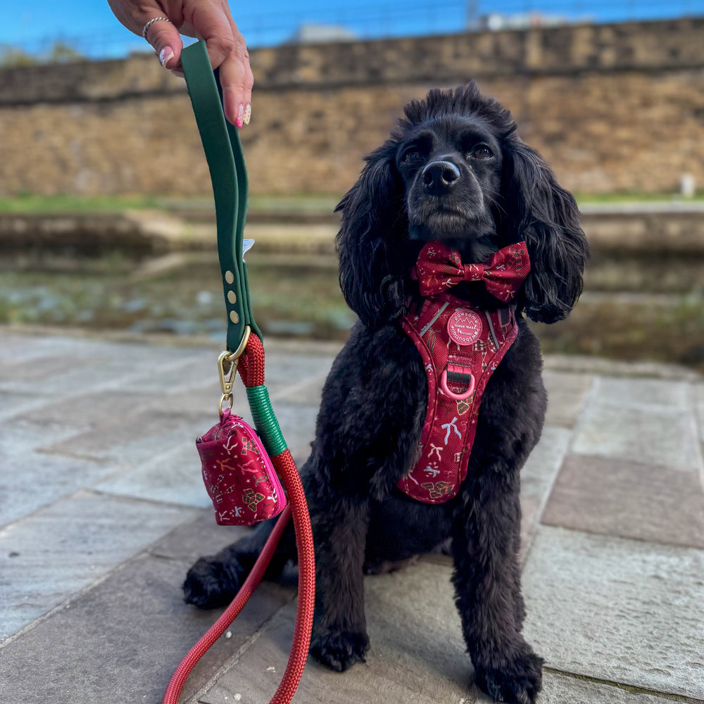 Poo Bag Holder - Bows Of Joy