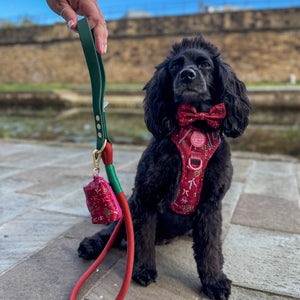 Poo Bag Holder - Bows Of Joy