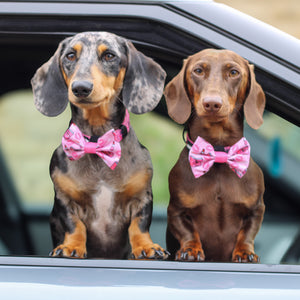 Bow Tie - Mean Girls