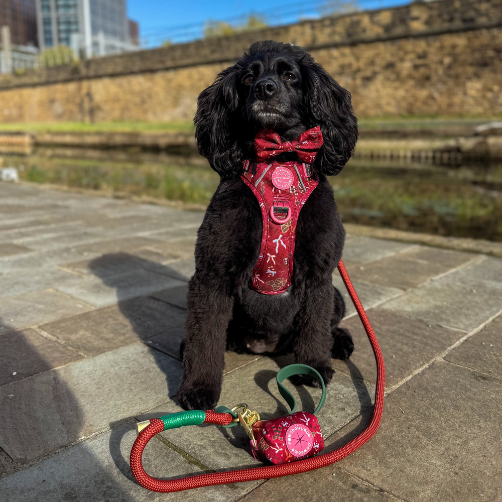 Bow Tie - Bows Of Joy