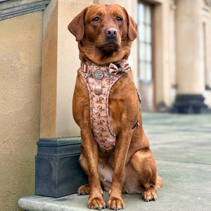 Disney© Bow Tie - Slinky