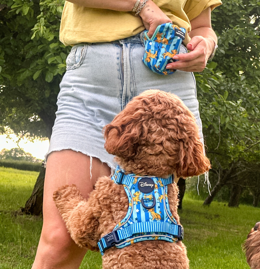 Disney© Treat + Go Bag - Simba