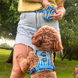 Disney© Treat + Go Bag - Simba