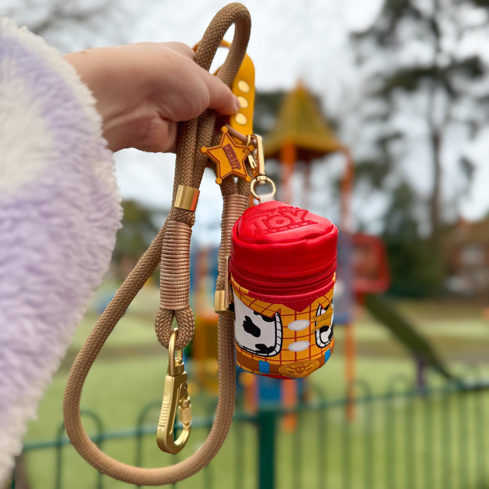 Disney© 4ft Rope Lead - Woody