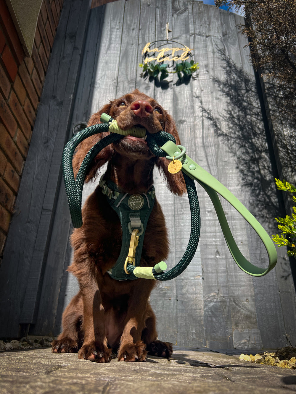 4ft Rope Lead - Walkies Ready® Forest Green