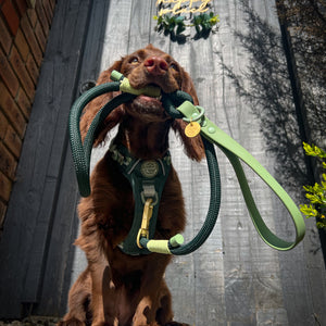 4ft Rope Lead - Walkies Ready® Forest Green