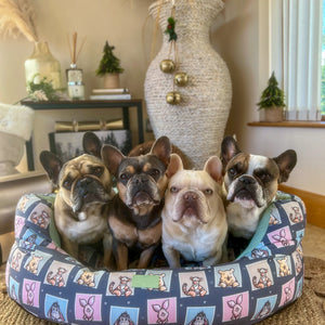 Disney© Dog Bed - Winnie + Friends