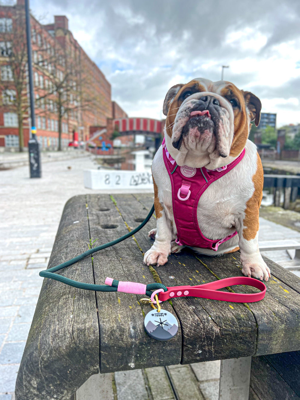 Pawsome Poop Pocket - Walkies Ready®- Charcoal