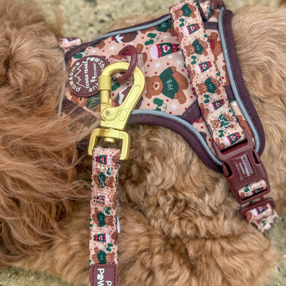 Lead - Snuggle Season