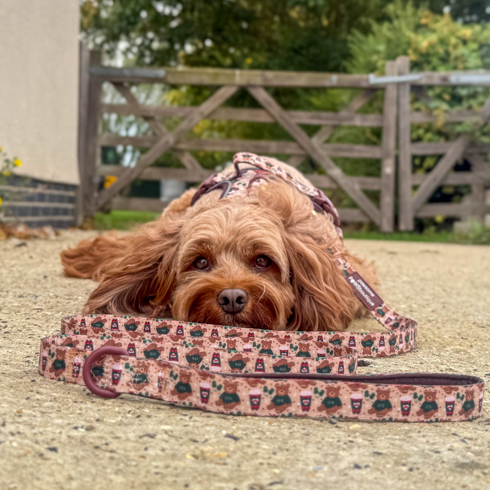 Lead - Snuggle Season