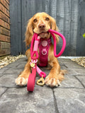 4ft Rope Lead - Walkies Ready® Raspberry Pink