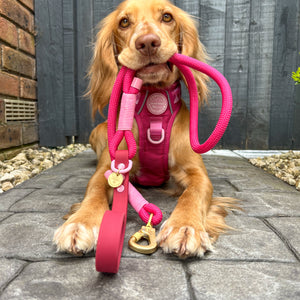 4ft Rope Lead - Walkies Ready® Raspberry Pink