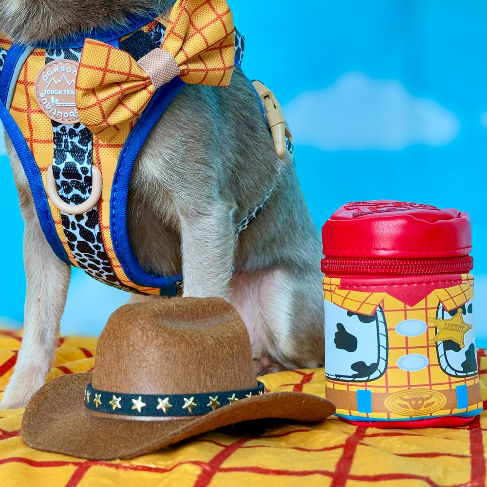 Disney© Treat Pouch - Woody