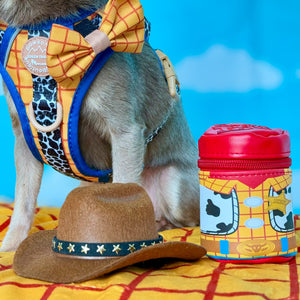 Disney© Treat Pouch - Woody