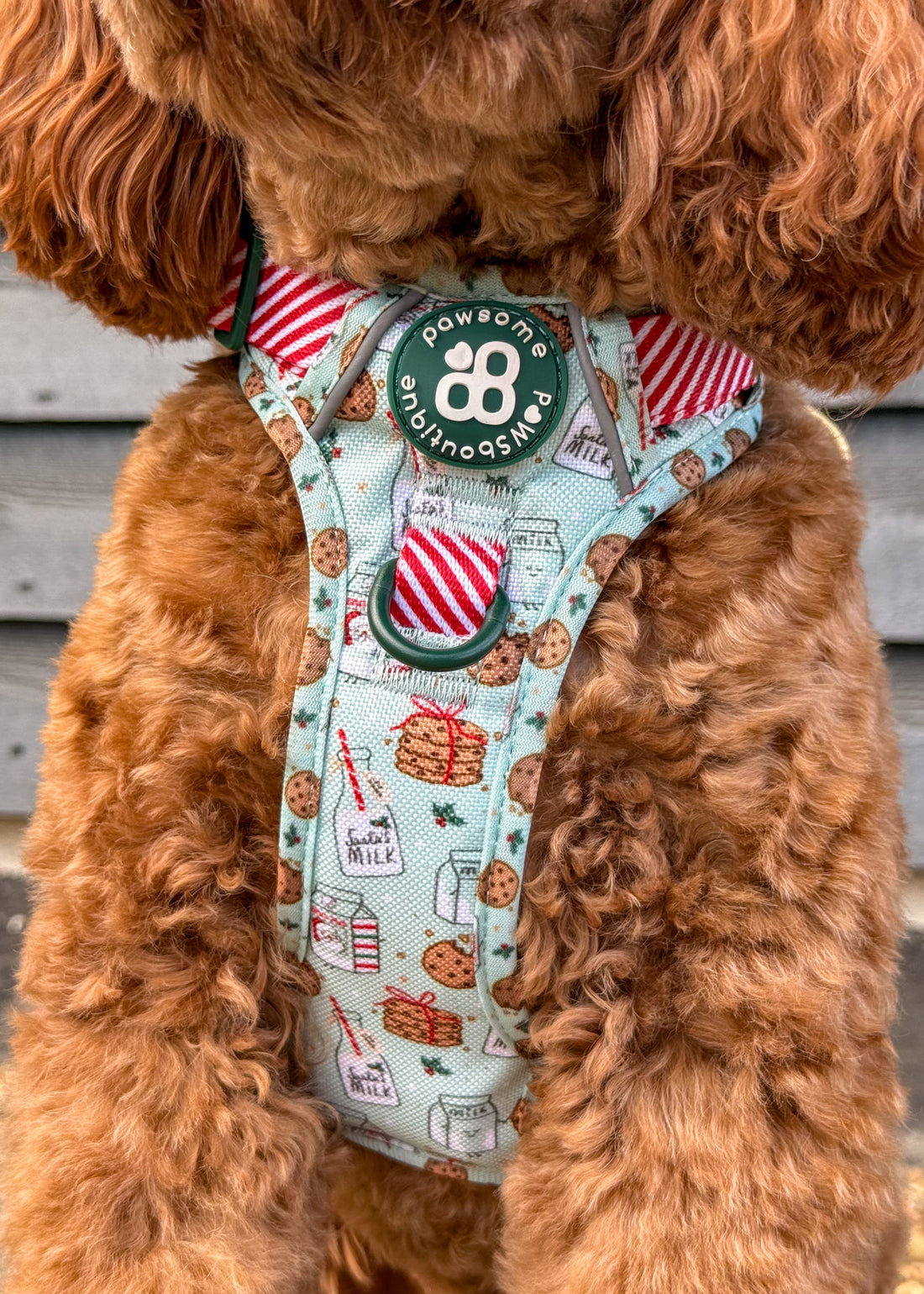 Tough Trails™ Harness -  Milk & Cookies