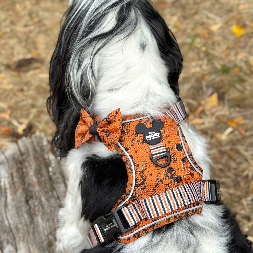 Disney© Bow Tie - Halloween