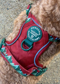 Tough Trails™ Harness - Walkies Ready® Snowy Mountains