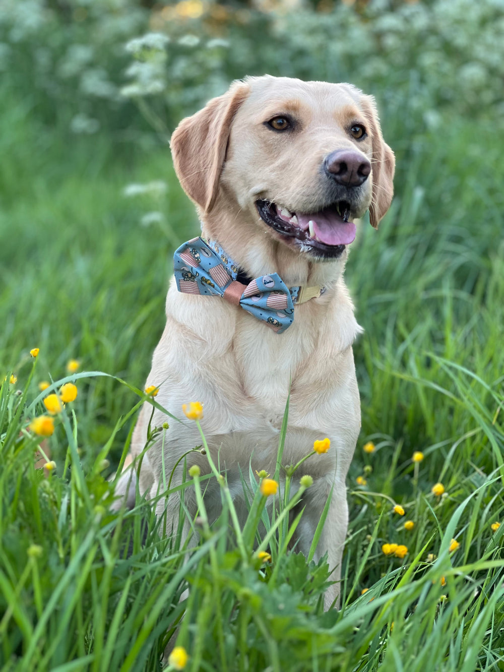 Disney© Bow Tie - Lion Friends