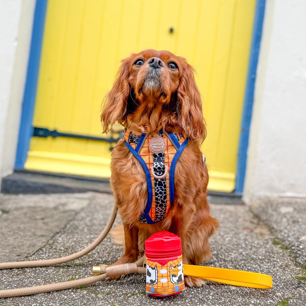 Disney© Treat Pouch - Woody