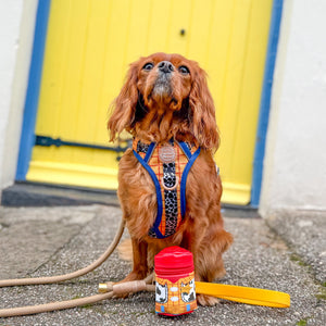 Disney© Treat Pouch - Woody