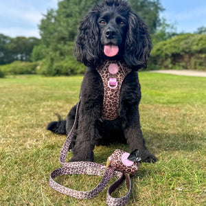 Lead - Leopard Print