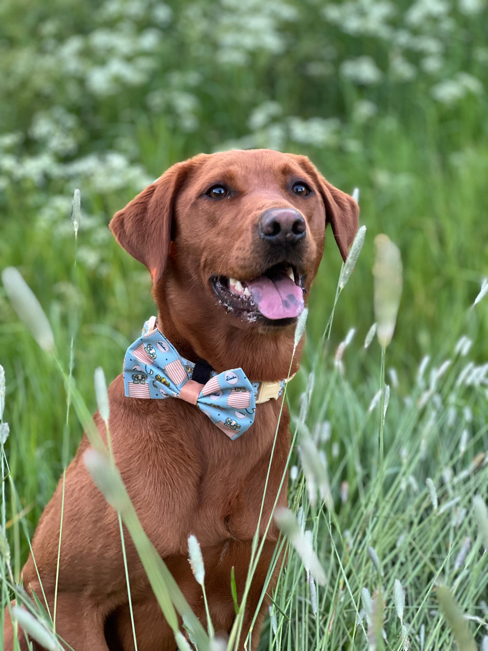 Disney© Bow Tie - Lion Friends