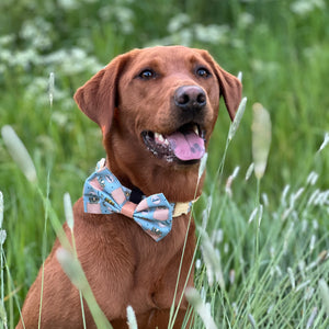 Disney© Bow Tie - Lion Friends