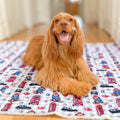 Paddington™ Dog Blanket - London