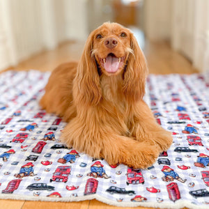 Paddington™ Dog Blanket - London